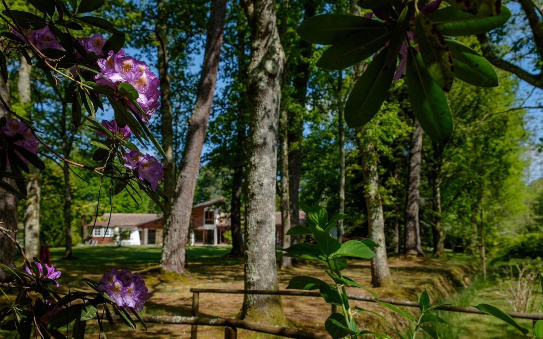 Parc De L'Aiguade Bed & Breakfast Saint-Paul-les-Dax Exterior photo