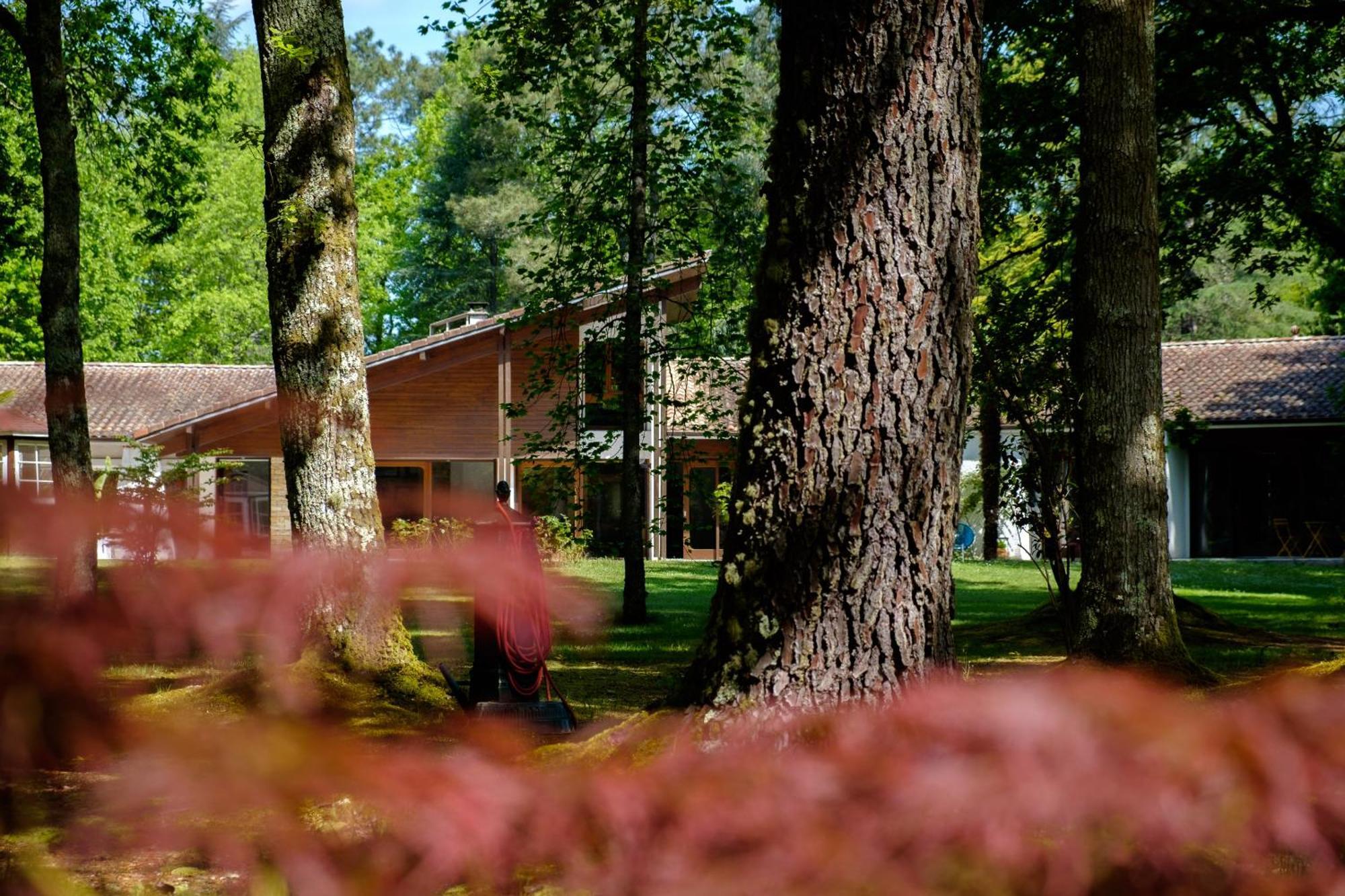 Parc De L'Aiguade Bed & Breakfast Saint-Paul-les-Dax Exterior photo